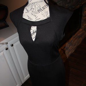 Sleeveless Scuba Dress